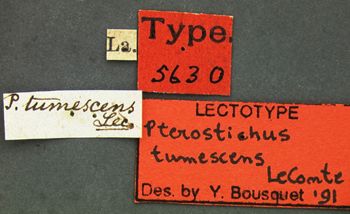 Media type: image;   Entomology 5630 Aspect: labels